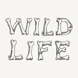 Wildlife Records