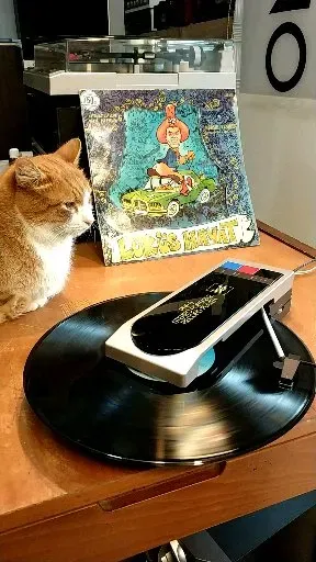 Record store thumbnail: KADIKÖY PLAK