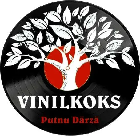 Record Store: Vinilkoks
