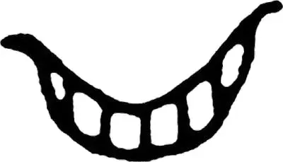 Record Store: Pyramid Records