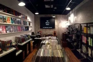 The Analog Vault