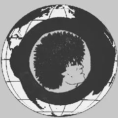 Record Store: Discos y Cintas Vida Subterranea