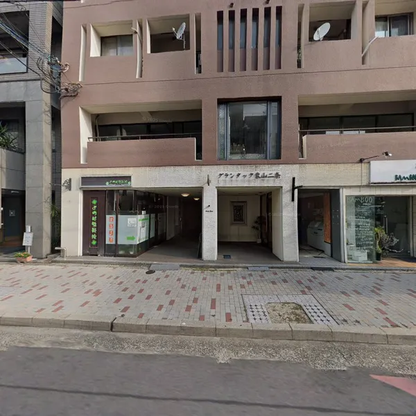 Record store thumbnail: Roman Shouten