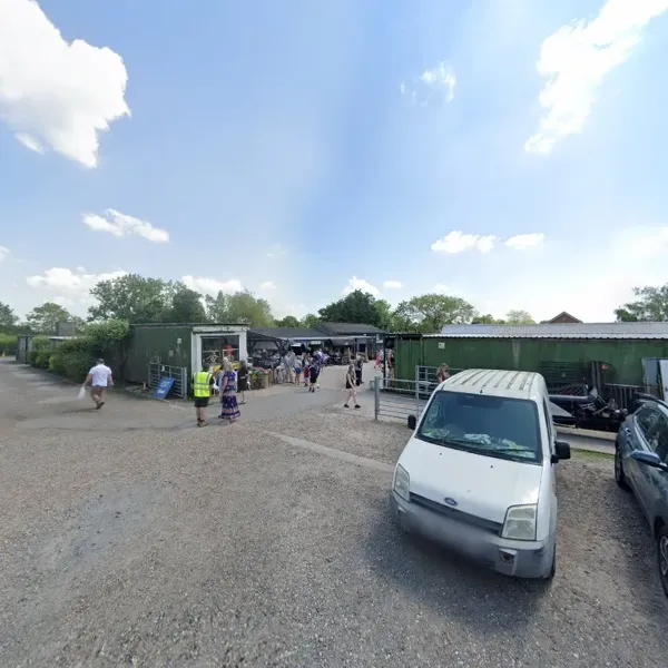 Record store thumbnail: Beehive Records