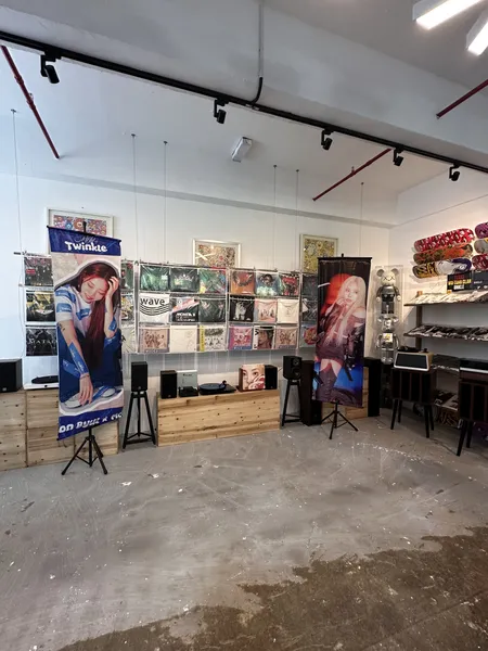 Record Store: Vinylvox