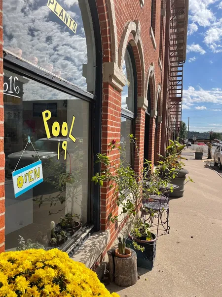 Record Store: Pool 19 Plants & Records