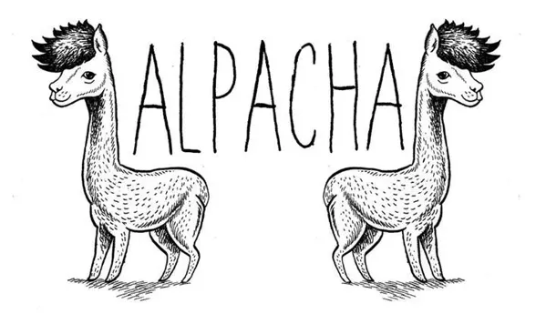Record Store: Alpaca Srl