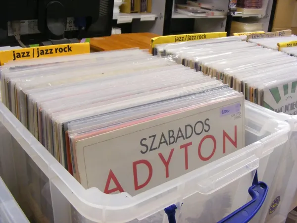 Record Store: hanglemeztasak.hu