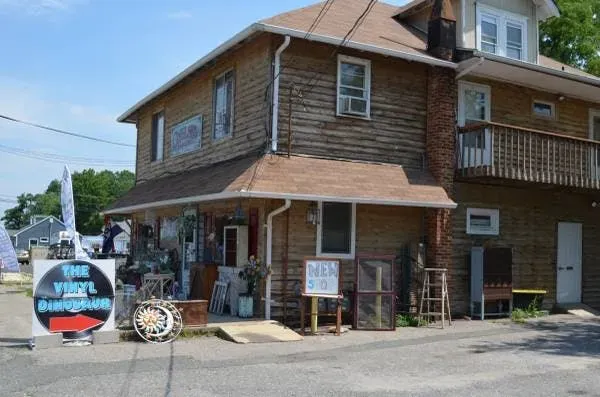 Record store thumbnail: The Vinyl Dinosaur