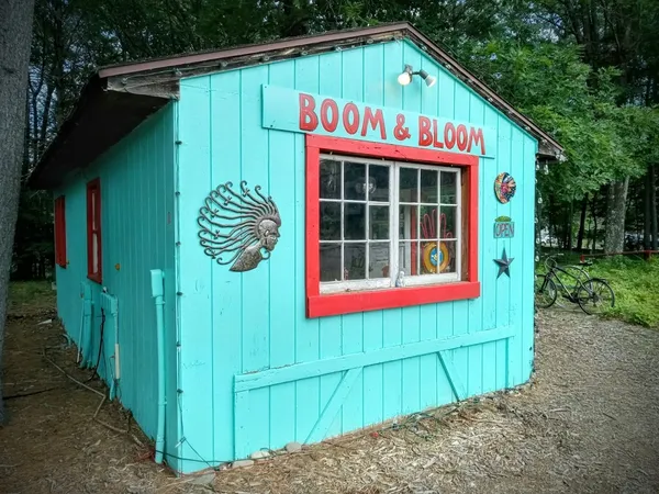 Record store thumbnail: Boom and Bloom Records