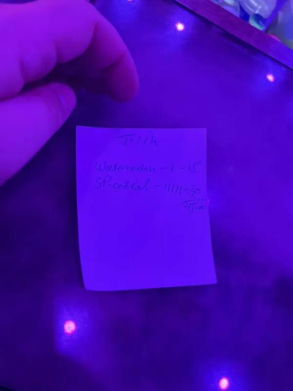 Record Store: Velvet