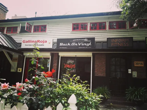 Record Store: Back On Vinyl