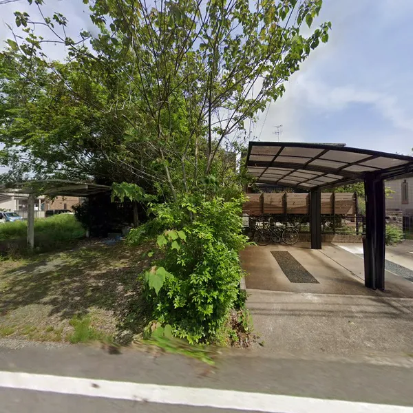 Record store thumbnail: 稀少アナログレコード店