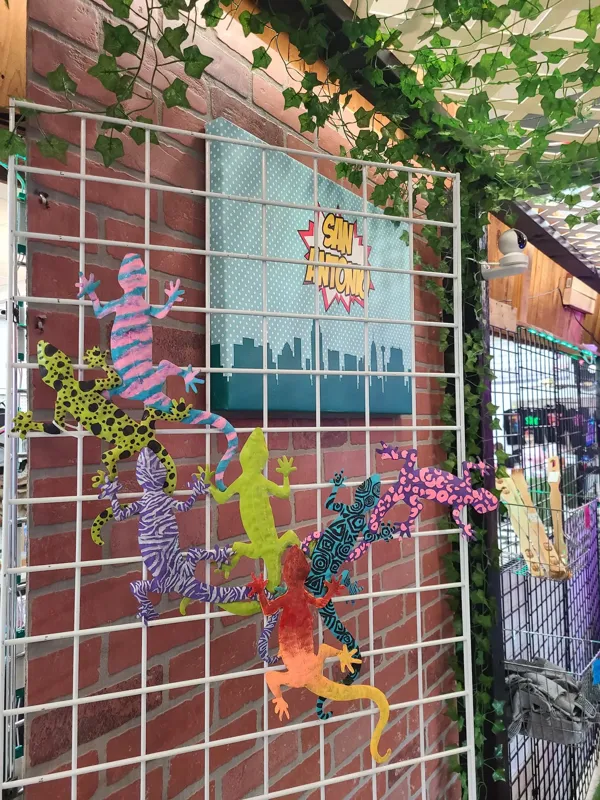 Record Store: Real Retro