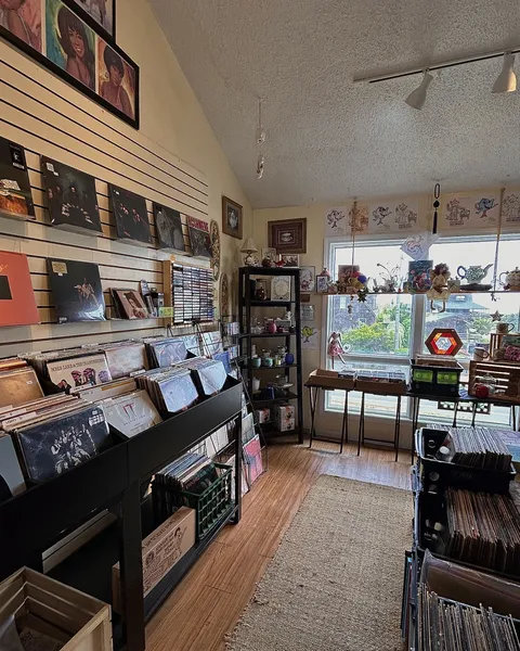 Record store thumbnail: Sudden Light Records