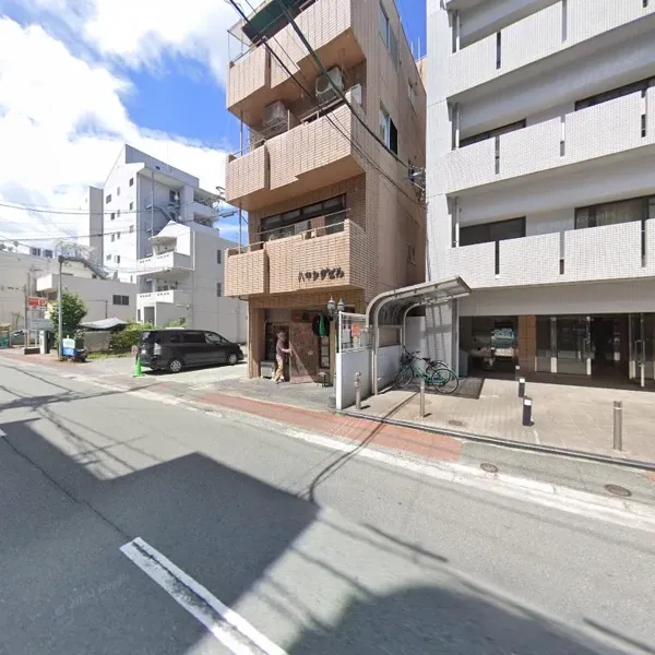 Record store thumbnail: LION DUB