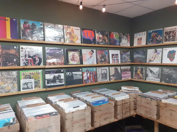 Record store thumbnail: Vinyl Shakedown Records