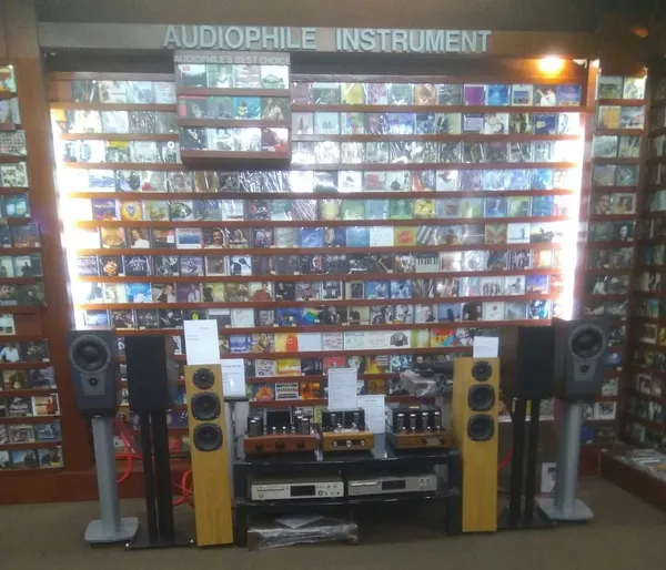 Record Store: Audiophile's Record Store