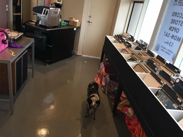 Special Request Vinyl