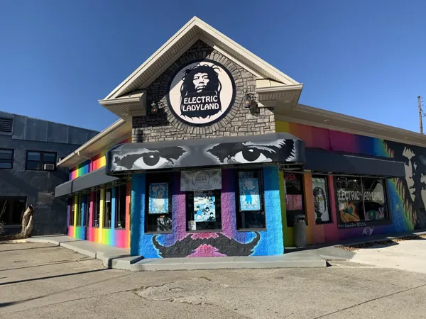 Record store thumbnail: Electric Ladyland