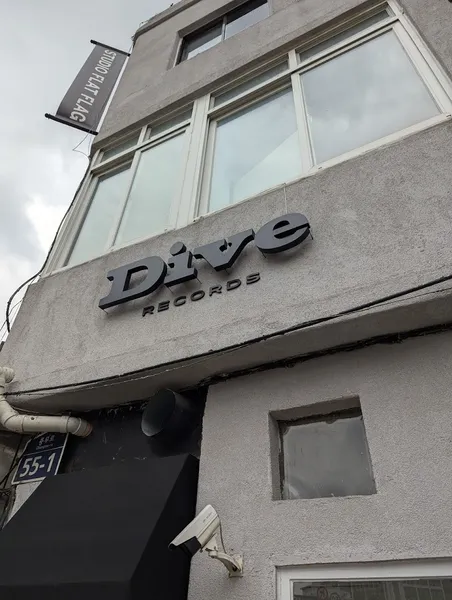 Record Store: Dive Records