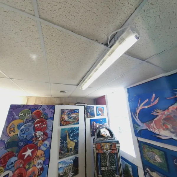 Record store thumbnail: Haskins House Records