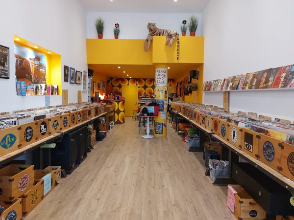 Record store thumbnail: Vinyl Van