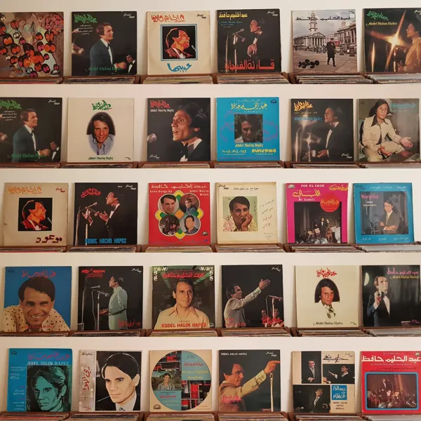 Record store thumbnail: The Groovy Owl