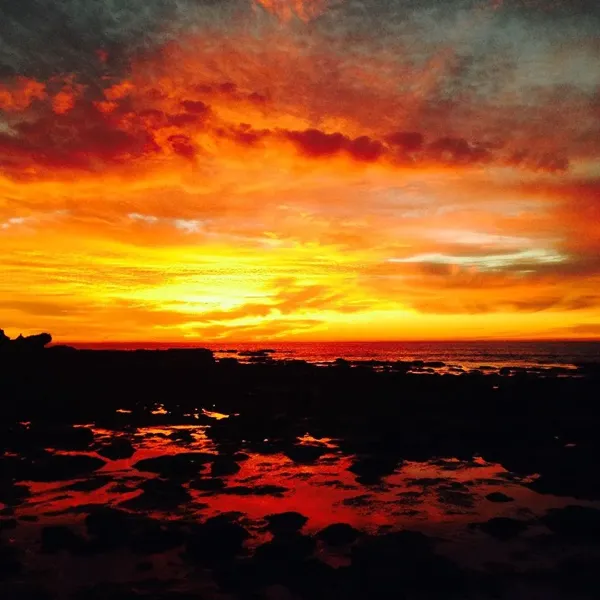 Record store thumbnail: Alma Music & Audio