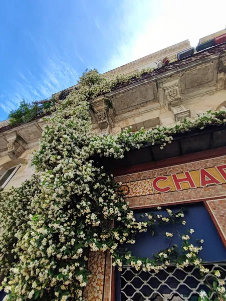 Record Store: La Charcuterie