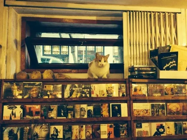 Record store thumbnail: Дюкян Меломан / Dukyan Meloman