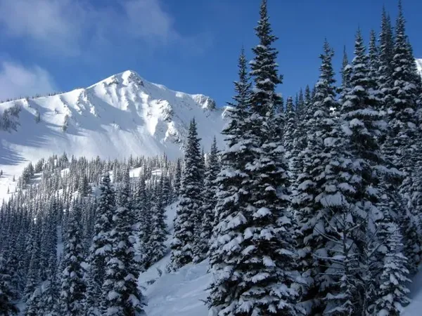 Record store thumbnail: musicland Schallplatten Würzburg