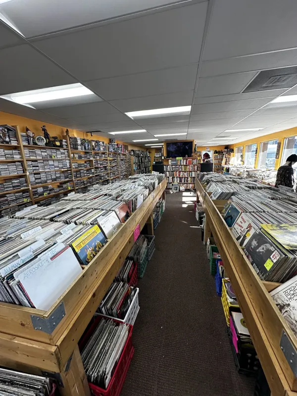 The Bizarre Bazaar LLC