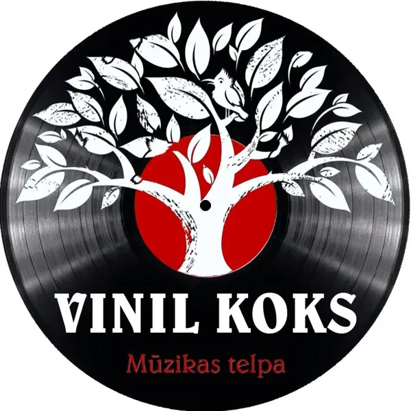 Record Store: Vinilkoks