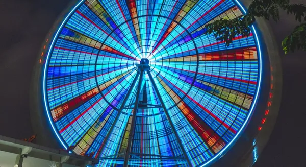 Record Store: Flexx Records