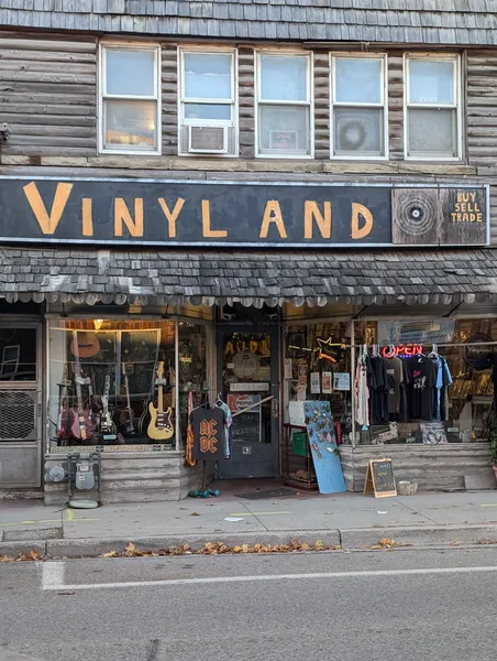 Record store thumbnail: Vinyl Land