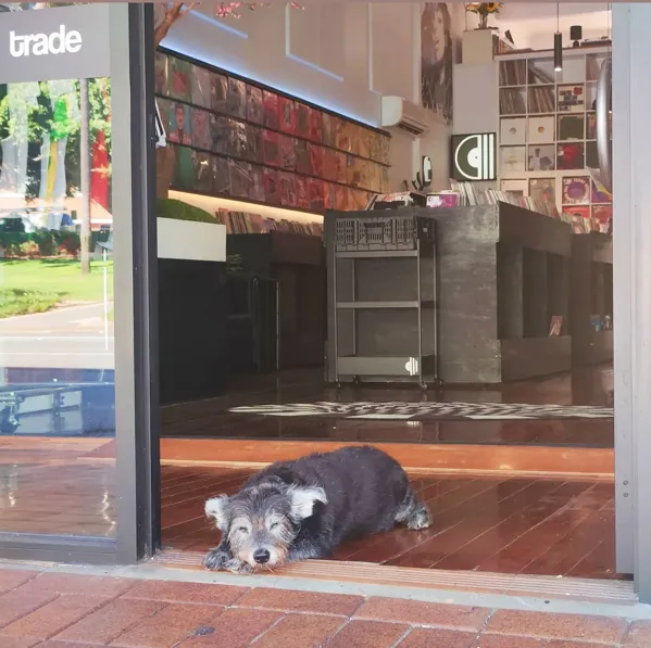 Record store thumbnail: Catalog Music