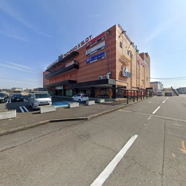 Record Store: Disc-aunt