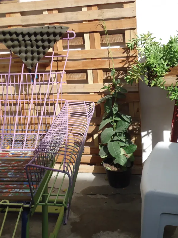 Record store thumbnail: Corner Palé