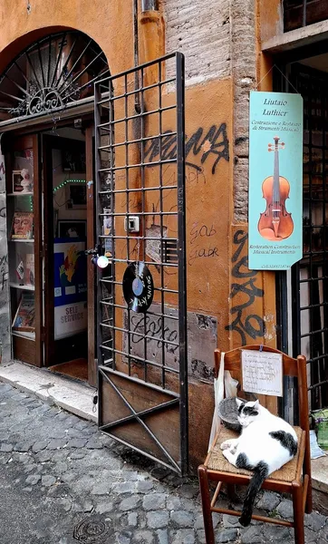 Record store thumbnail: Gorilla blu