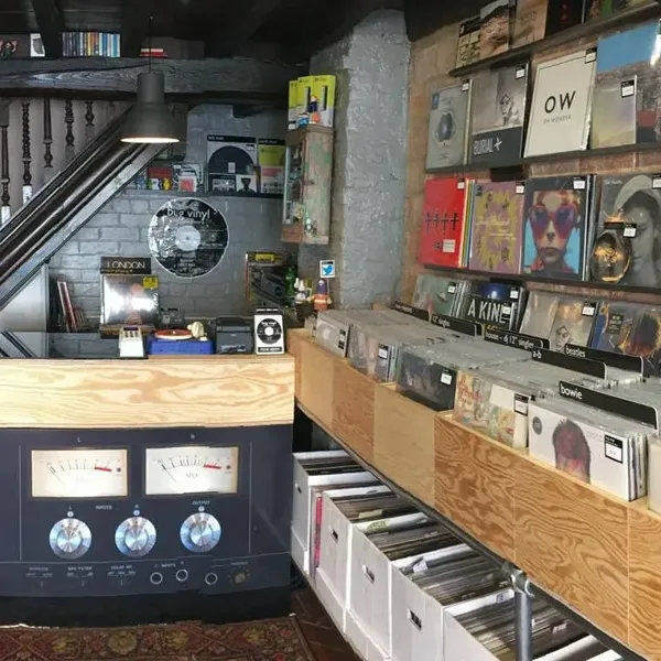 Bug Vinyl