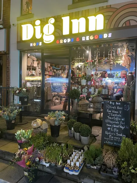 Record store thumbnail: Dig Inn