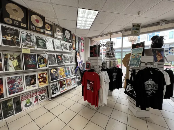 Palm Springs Vinyl Records and Collectibles