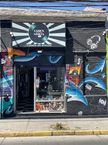 Record Store: Tienda de Discos Pasion por los Vinilos Rancagua