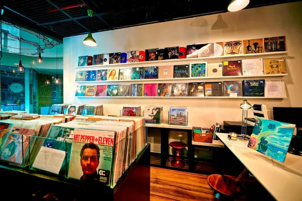 Record Store: The Analog Vault