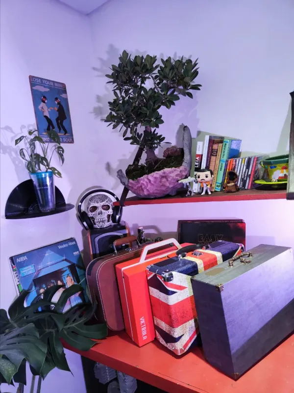 Record Store: TornaRola Store