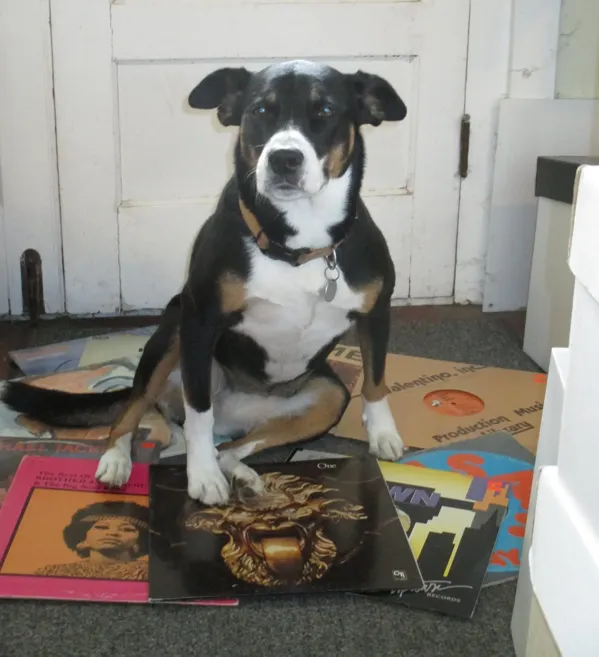 Record store thumbnail: Jump Jump Music