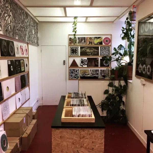 Record Store: The Living Mountain