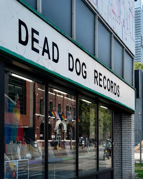Record store thumbnail: Dead Dog Records (Church St)