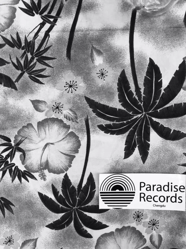 Record Store: Paradise Records Chengdu